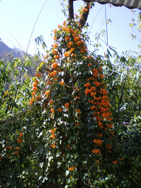 Nepal February March 2007 211